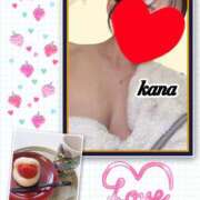 ヒメ日記 2026/03/19 09:04 投稿 かな 石亭