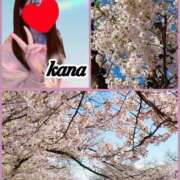 ヒメ日記 2026/04/04 09:14 投稿 かな 石亭