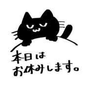 ヒメ日記 2026/07/06 08:15 投稿 かな 石亭