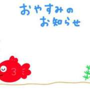 ヒメ日記 2026/09/04 07:02 投稿 かな 石亭