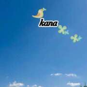 ヒメ日記 2026/09/24 18:58 投稿 かな 石亭