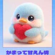 ヒメ日記 2026/02/04 20:37 投稿 るあ チェリー