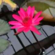 ヒメ日記 2024/12/14 17:59 投稿 もか 完熟ばなな 谷九店