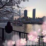 天音　ひな 桜雨🌸 未熟な人妻