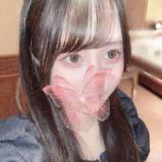 ヒメ日記 2024/12/23 12:05 投稿 ユキア きらめけ！にゃんにゃん学園in大宮