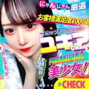 ヒメ日記 2025/01/28 12:00 投稿 ユキア きらめけ！にゃんにゃん学園in大宮