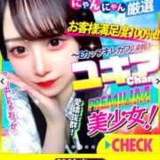 ヒメ日記 2025/04/06 12:41 投稿 ユキア きらめけ！にゃんにゃん学園in大宮