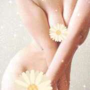 ヒメ日記 2024/12/16 16:15 投稿 可奈 高崎人妻城