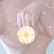 ヒメ日記 2025/01/17 13:26 投稿 可奈 高崎人妻城