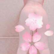 ヒメ日記 2025/04/04 11:01 投稿 可奈 高崎人妻城