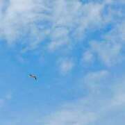 ヒメ日記 2025/09/29 12:16 投稿 アキ マテリアル