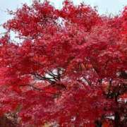 ヒメ日記 2025/09/30 09:01 投稿 アキ マテリアル