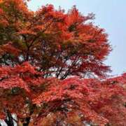 ヒメ日記 2025/10/23 22:01 投稿 アキ マテリアル