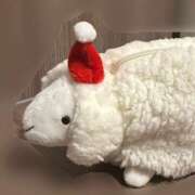 ヒメ日記 2025/11/18 14:01 投稿 アキ マテリアル