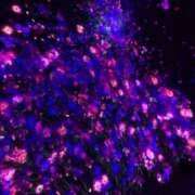 ヒメ日記 2025/12/15 14:16 投稿 アキ マテリアル