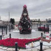 ヒメ日記 2025/12/22 17:31 投稿 アキ マテリアル