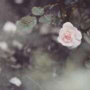 アキ お休み マテリアル