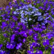 ヒメ日記 2026/02/21 12:16 投稿 アキ マテリアル