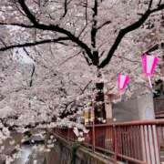 ヒメ日記 2026/03/13 14:01 投稿 アキ マテリアル