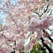 ヒメ日記 2026/03/24 16:16 投稿 アキ マテリアル