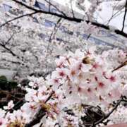 アキ 出勤 マテリアル