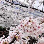 アキ あと1枠 マテリアル