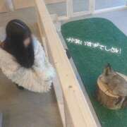 ヒメ日記 2025/11/29 20:01 投稿 いちご 手こき＆オナクラ 大阪はまちゃん