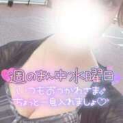 ヒメ日記 2026/09/23 06:53 投稿 うい FAIRY Fukuoka Nakasu