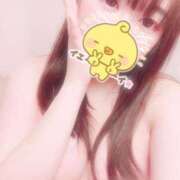 ヒメ日記 2025/03/17 11:00 投稿 かほ 石庭