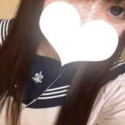 ヒメ日記 2025/03/18 15:30 投稿 かほ 石庭