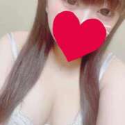 ヒメ日記 2025/03/19 21:22 投稿 かほ 石庭