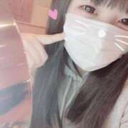 ヒメ日記 2025/03/20 16:50 投稿 かほ 石庭