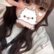 ヒメ日記 2025/03/22 20:55 投稿 かほ 石庭