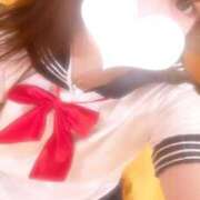 ヒメ日記 2025/03/24 21:22 投稿 かほ 石庭