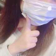 ヒメ日記 2025/03/26 23:50 投稿 かほ 石庭