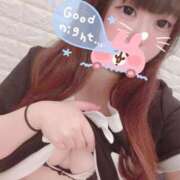 ヒメ日記 2025/03/27 12:00 投稿 かほ 石庭