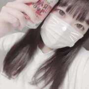 ヒメ日記 2025/03/29 12:28 投稿 かほ 石庭