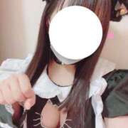 ヒメ日記 2025/04/02 21:30 投稿 かほ 石庭