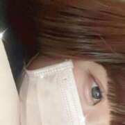 ヒメ日記 2025/04/04 17:50 投稿 かほ 石庭