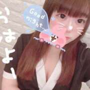 ヒメ日記 2025/04/05 10:07 投稿 かほ 石庭