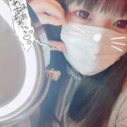 ヒメ日記 2025/04/09 16:38 投稿 かほ 石庭