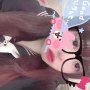 ヒメ日記 2025/04/09 19:59 投稿 かほ 石庭