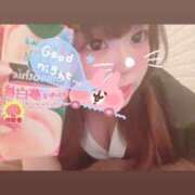 ヒメ日記 2025/04/10 10:19 投稿 かほ 石庭