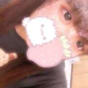 ヒメ日記 2025/04/11 14:50 投稿 かほ 石庭