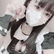 ヒメ日記 2025/04/11 21:50 投稿 かほ 石庭