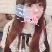 ヒメ日記 2025/04/28 10:37 投稿 かほ 石庭