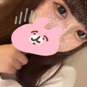 ヒメ日記 2025/04/28 16:50 投稿 かほ 石庭