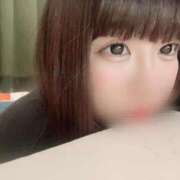 ヒメ日記 2025/04/28 20:04 投稿 かほ 石庭