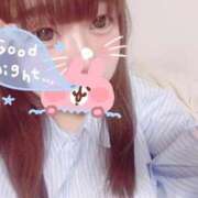 ヒメ日記 2025/04/30 22:00 投稿 かほ 石庭