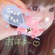 ヒメ日記 2025/05/02 10:00 投稿 かほ 石庭